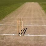 Cricket Pitch Length in Feet
